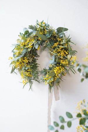 【蹄鉄】mimosa wreathe