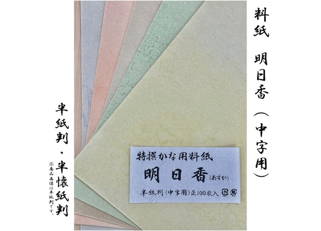 仮名印刷料紙　　明日香　中字用　100枚(5色・各20枚)