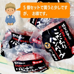 佐賀牛に匹敵！佐賀和牛の贅沢ハンバーグ120gセット ５個入り｜直送＆お買い得価格・肉汁たっぷりの逸品