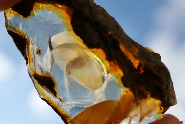 エッグ・イン・オパール Opal Egg 827