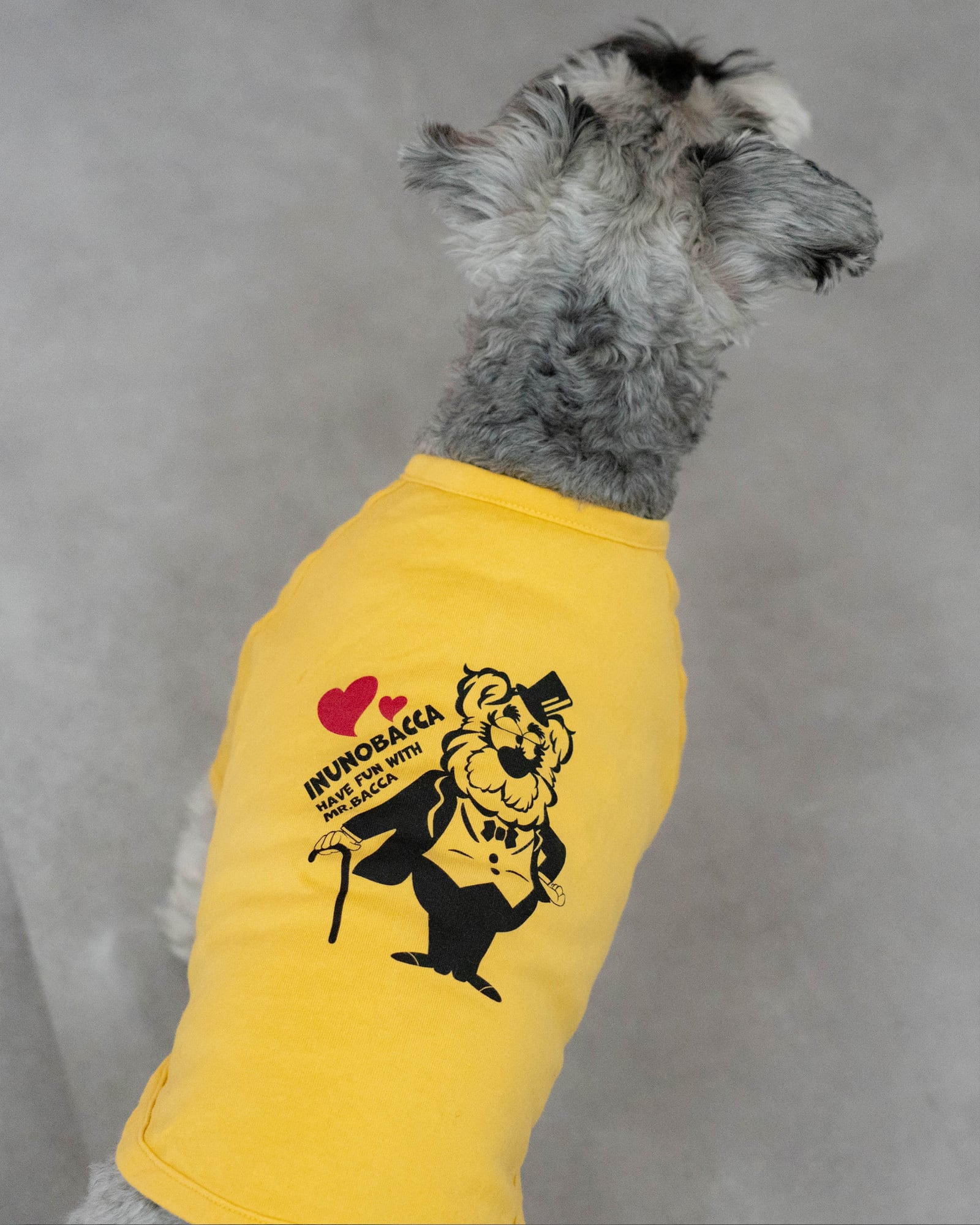 犬服 Tシャツ 「Mr.BACCA」 typeB ｜inunobacca | Inunobacca