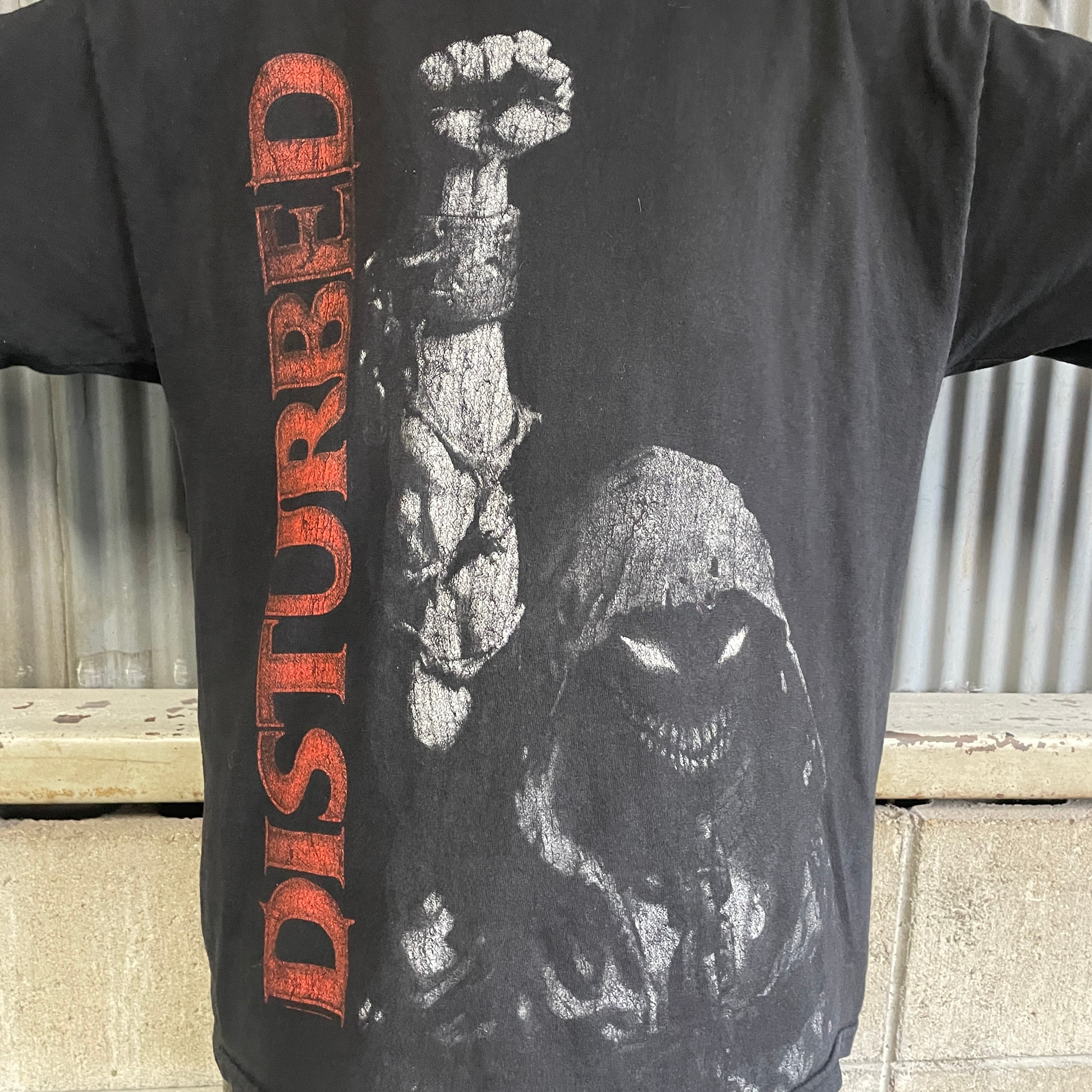 DISTURBED ヘヴィメタル バンドTシャツ プリントTシャツ メンズL相当