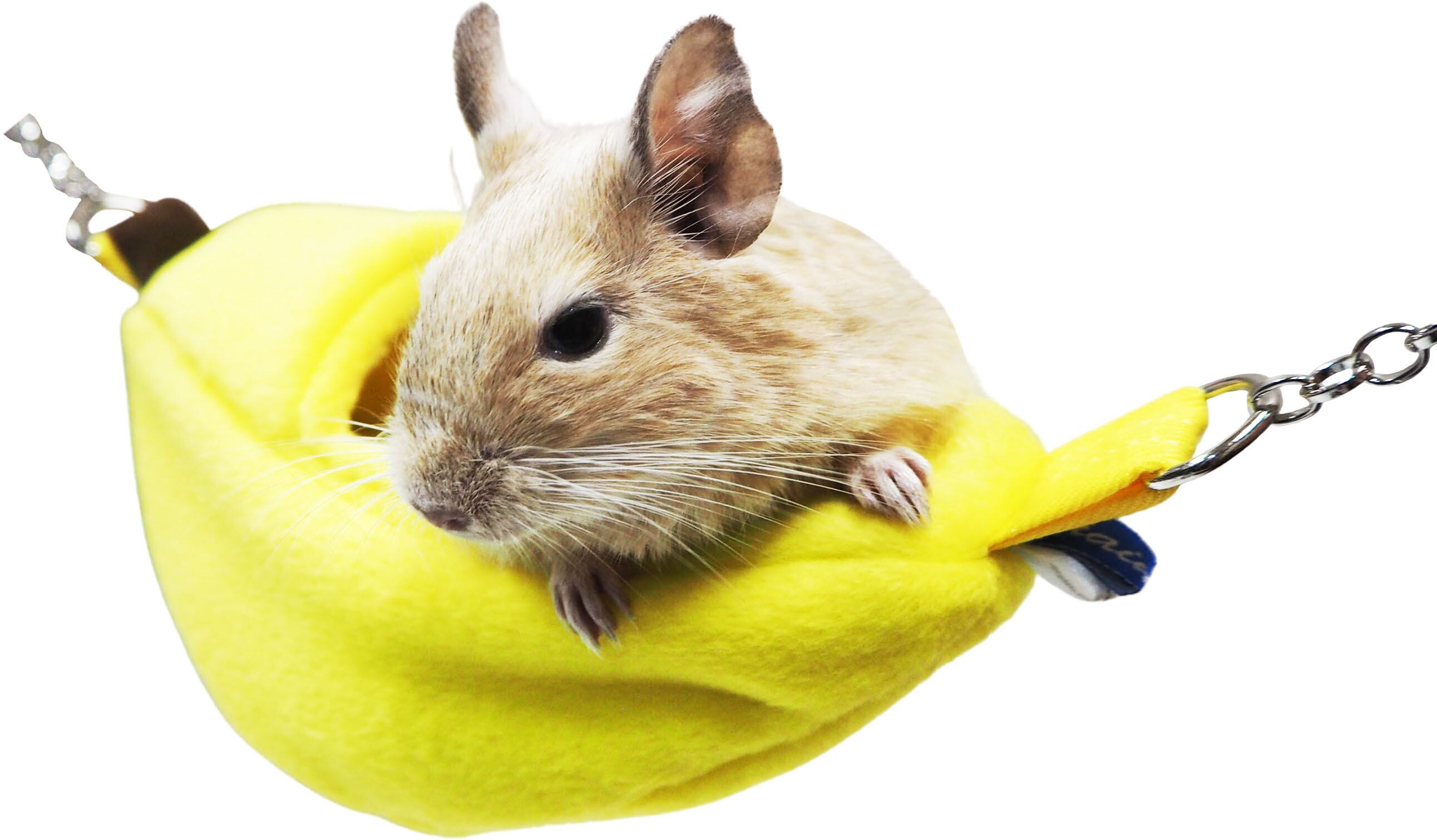 【小動物用品】おひるねバナナ