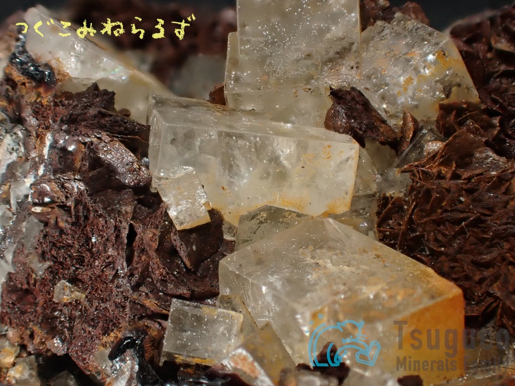 フローライト 蛍石 Fluorite イギリス TM-0008