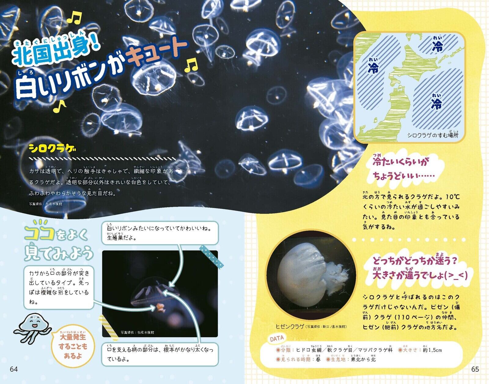 クラゲのお勉強セット Melly Velly Jelly