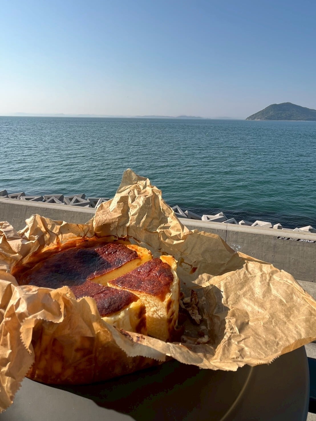 瀬戸内バスクチーズケーキ《プレーン》