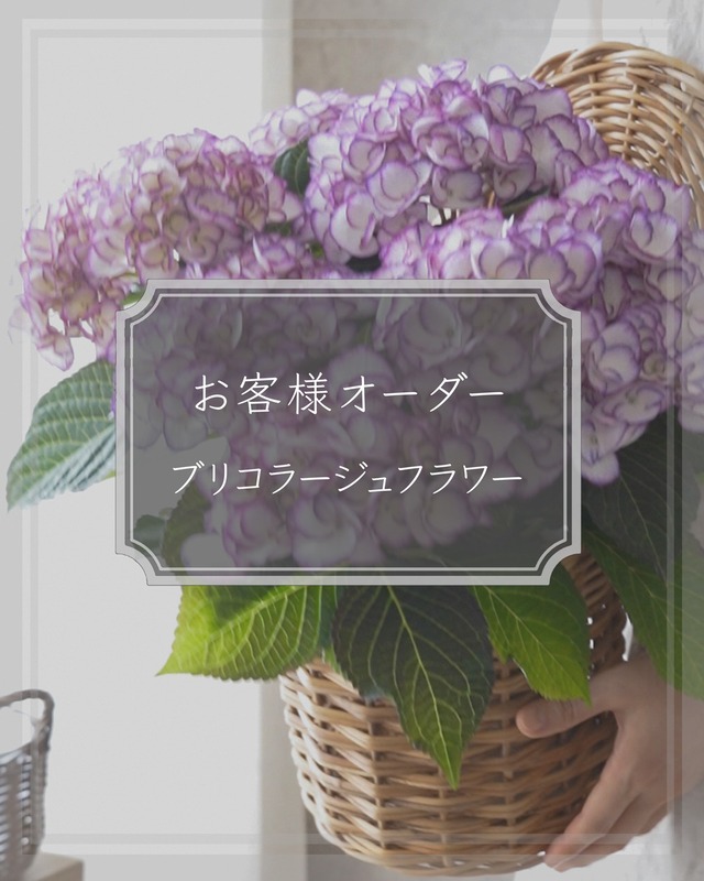 【お客様追加オーダー花苗】クリロー、ユーフォルビア