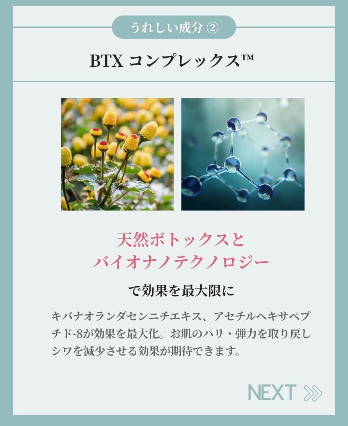 B.T.Xペプチドクレンザー | ☆LilyBell☆