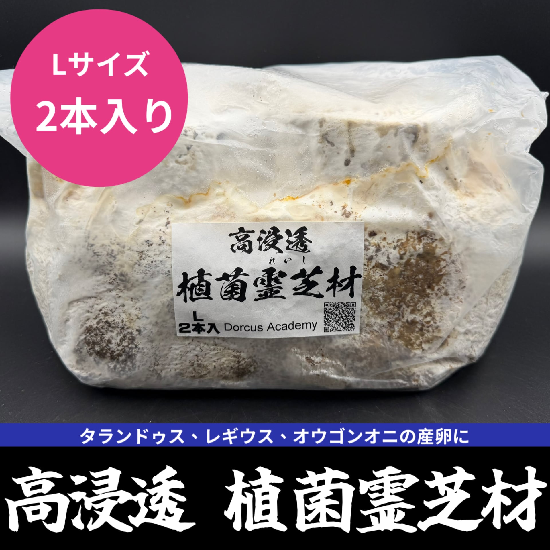 S8カンタケ 1400cc | KPW BASE店