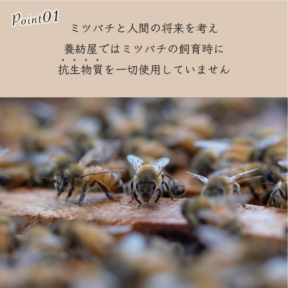 国産 百花蜜 「初夏の花々」［ボトル］ 500g | 非加熱 | 抗生物質不
