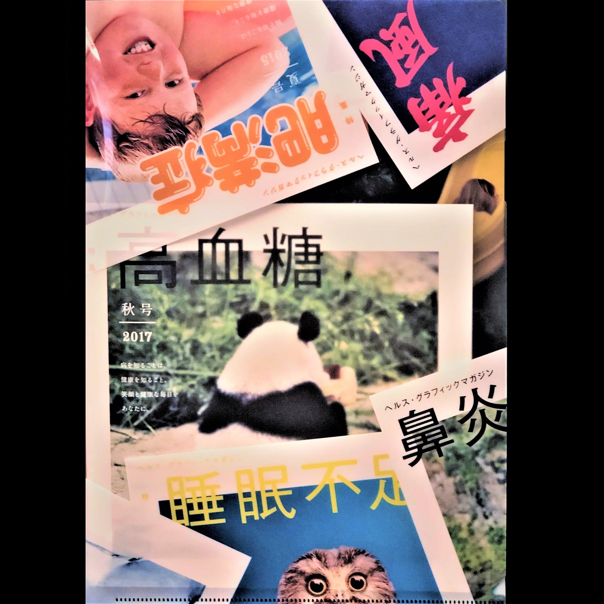 ヘルス・グラフィックマガジンオリジナルクリアファイル | ヘルス