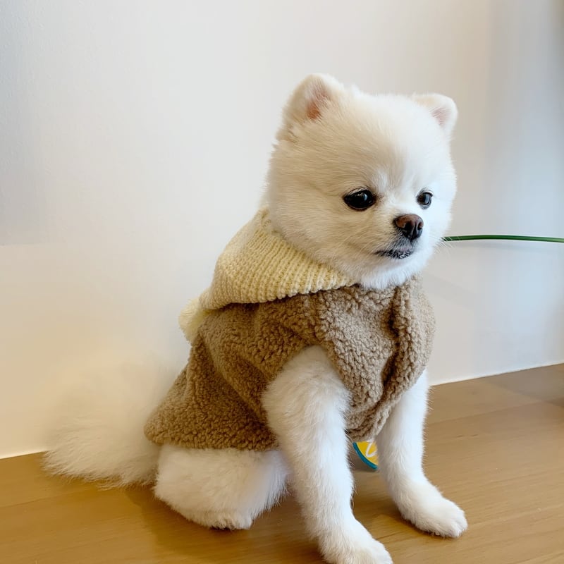 犬服 ペット服 ペットウェア コスチューム 冬用 裏起毛 Mサイズ - 犬服