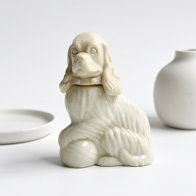 Spaniel