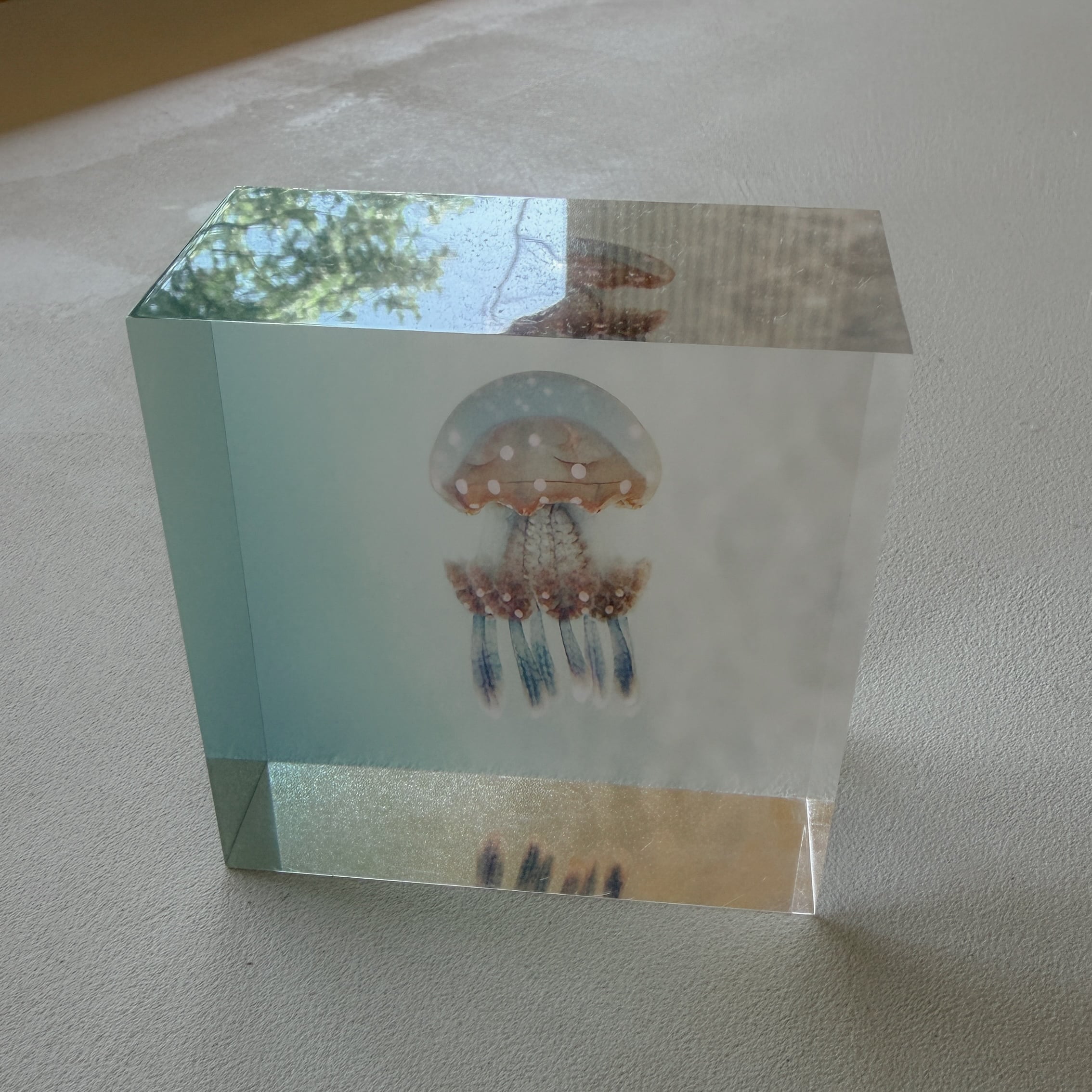 Little Life|Acrylic Cube Art — Kakeroma Island No.20|タコクラゲ