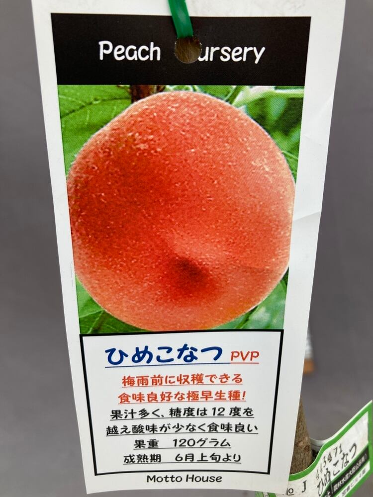 2cd48d303c6d1a4fc7a0cc4f13eb8b