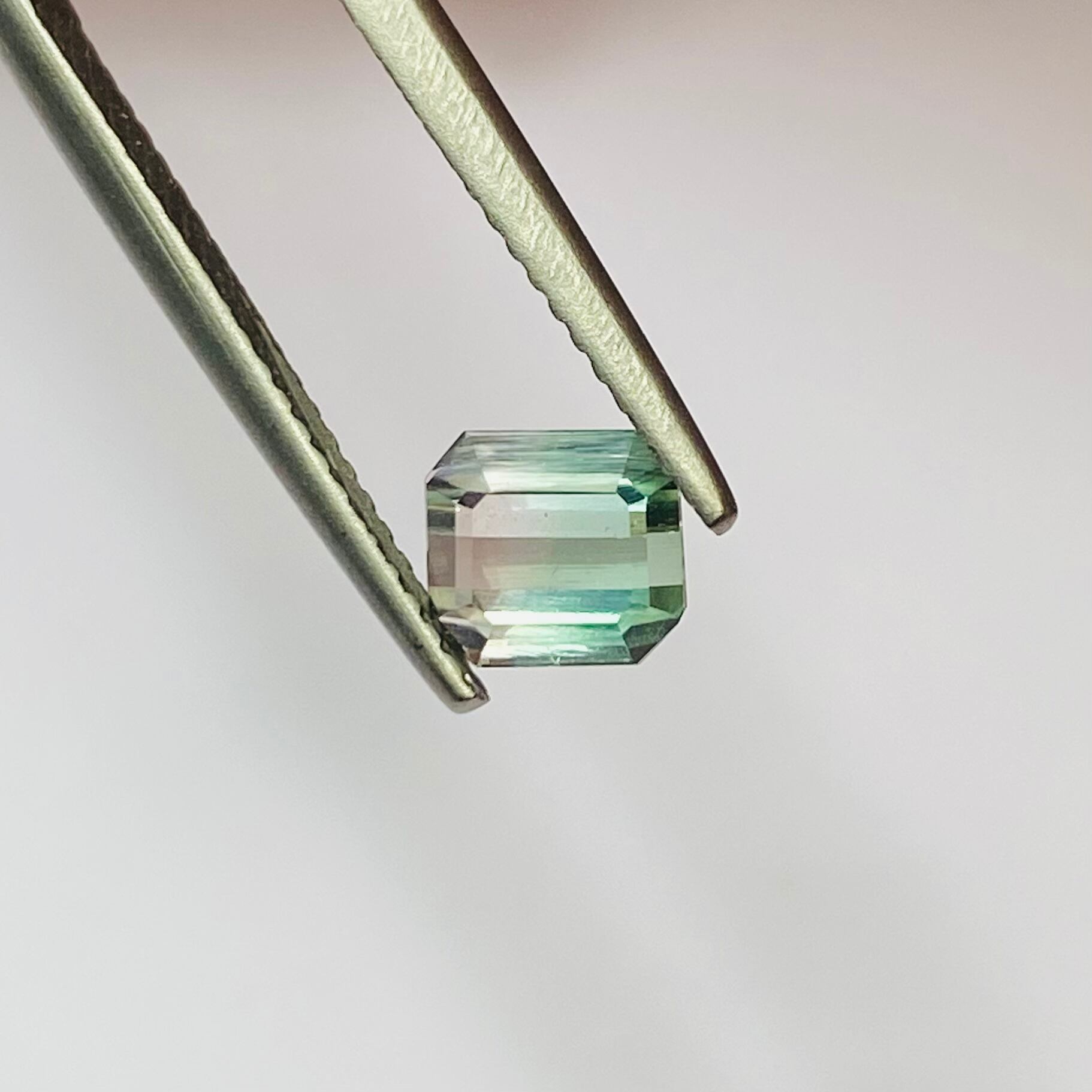 王子様お姫様バイカラートルマリン4