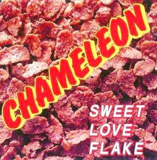 音楽CD アルバム『SWEET LOVE FLAKE』 | ShindoAtsushi Shop