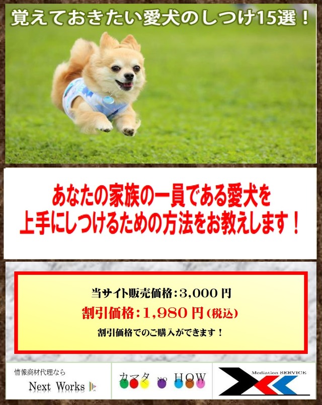 覚えておきたい愛犬のしつけ15選！