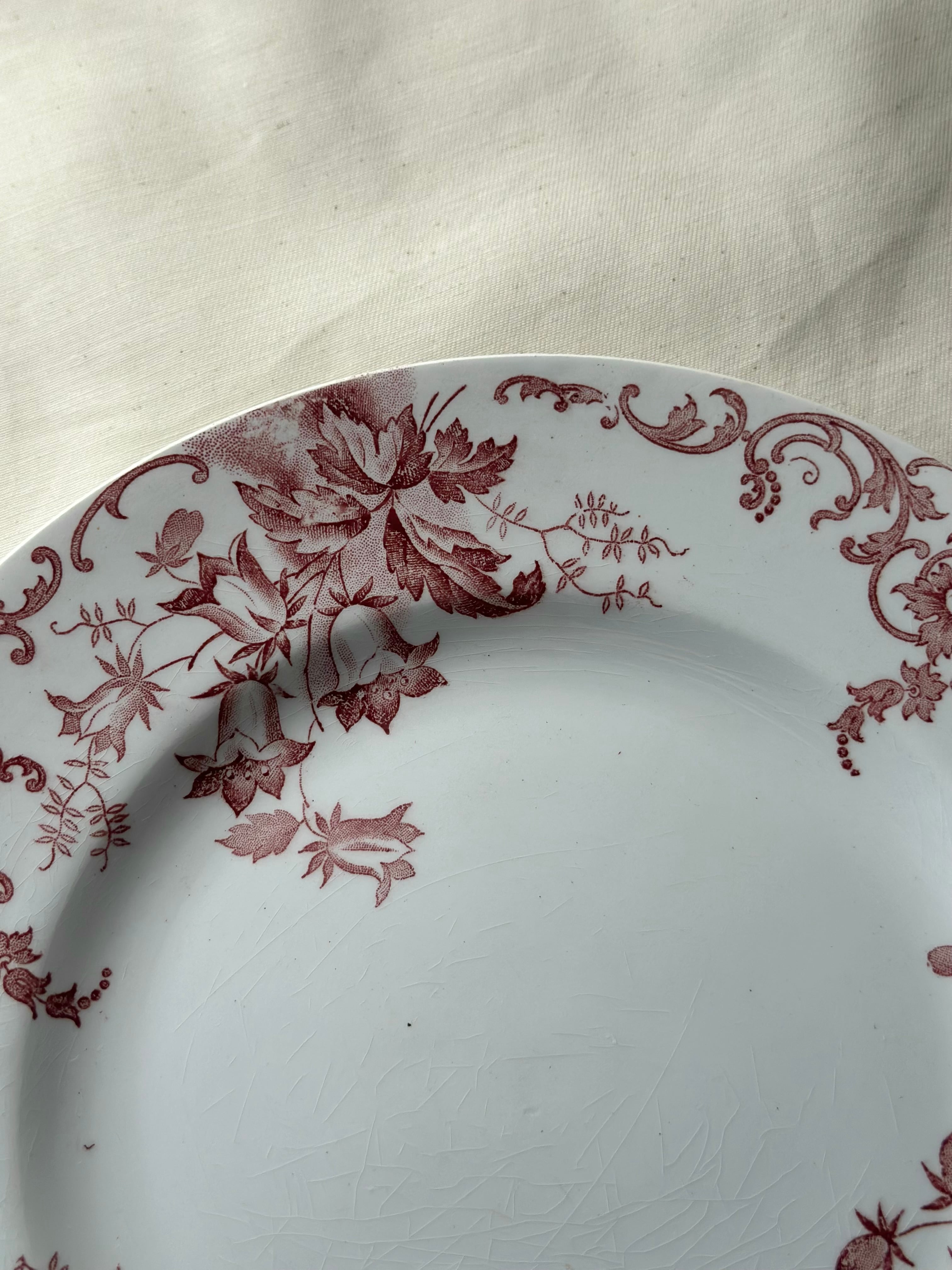 Saint amand カンパニュラ 平皿 プレート 赤 フランス アンティーク