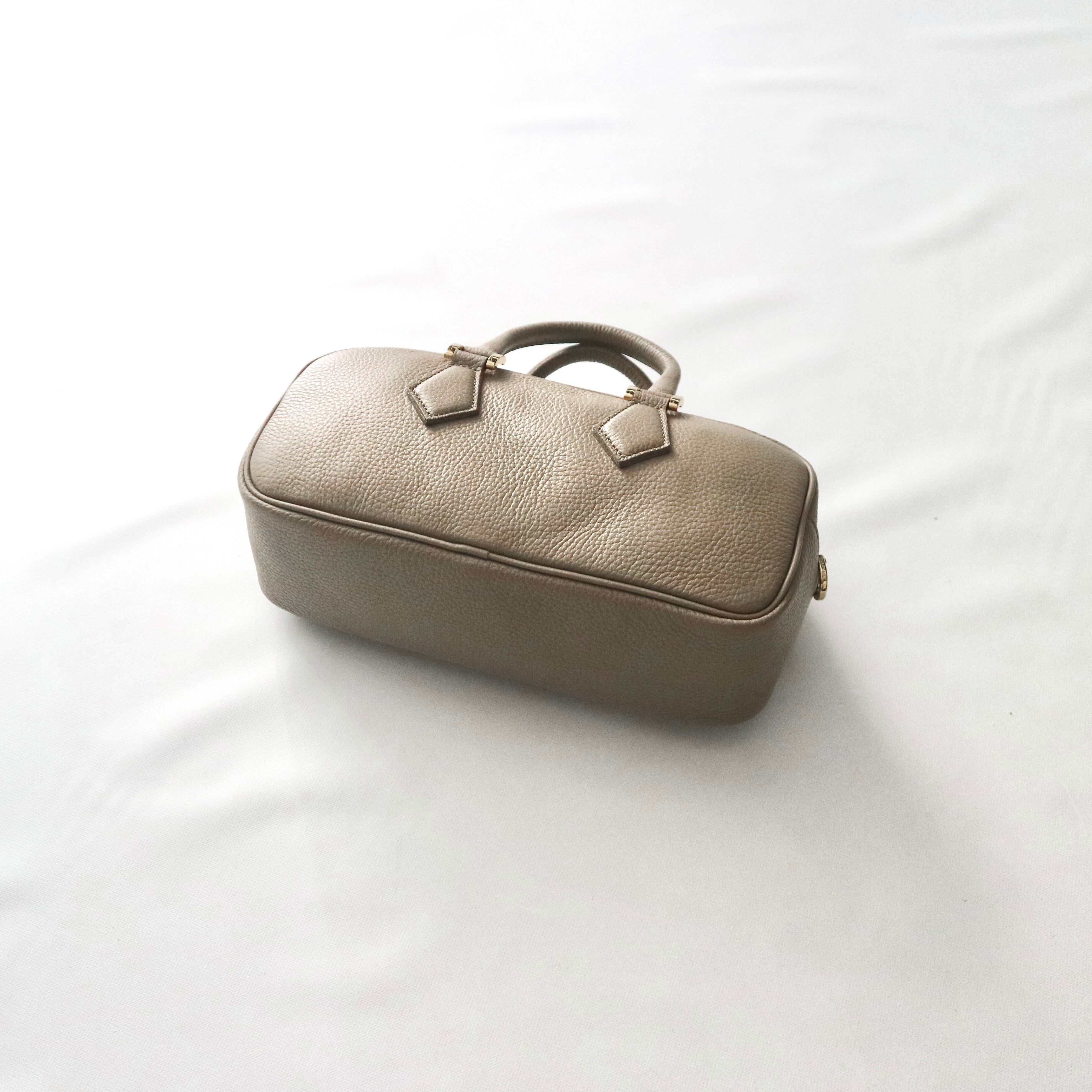 M*e様 7.227 ▲ VICTORIA アコーディオン ケース付 イタリア製 LUCIA ルチア イタリアンレザー リザード型押し フラグメントケース