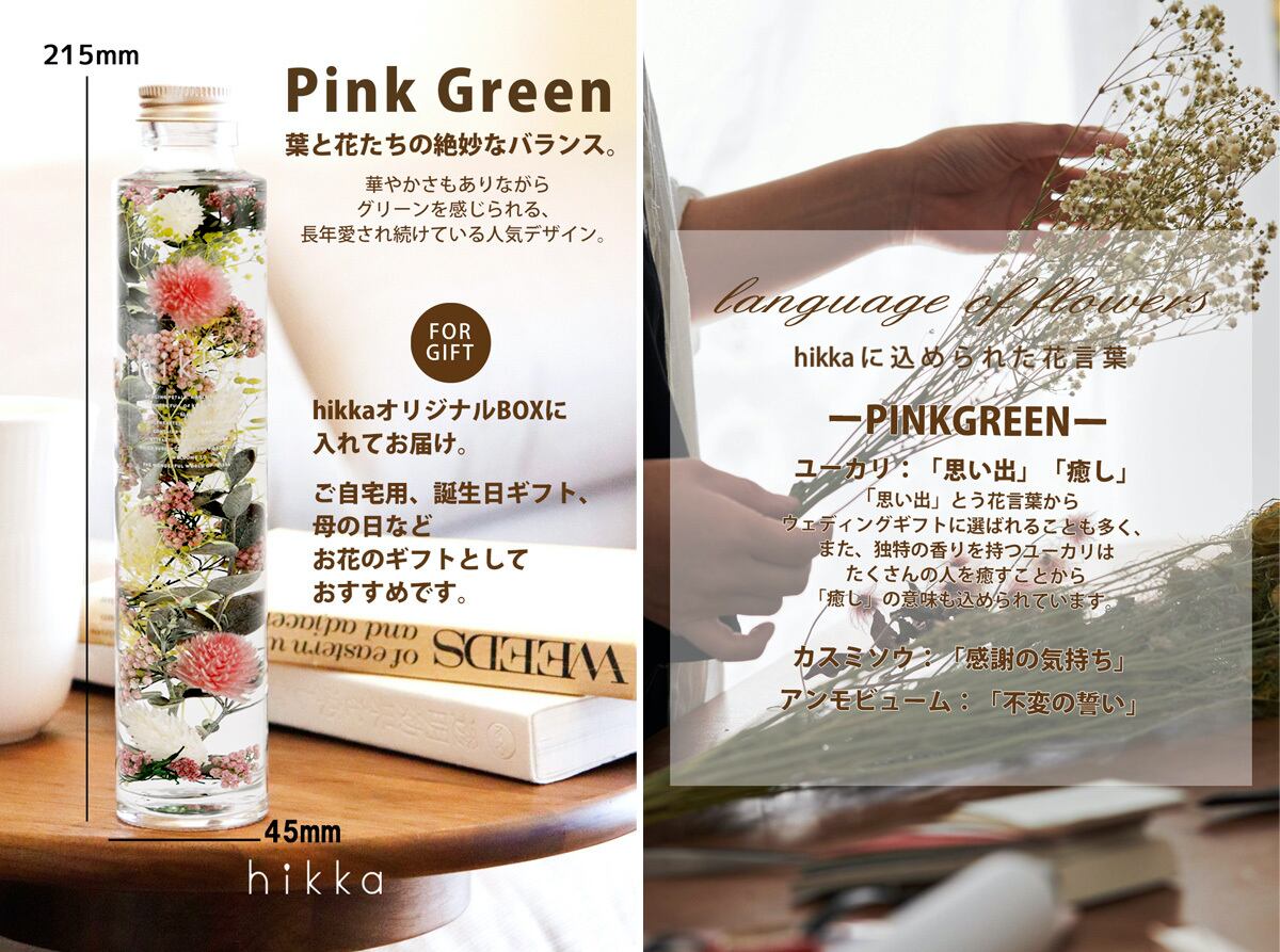 今月限定 特別大特価 Hikka ハーバリウム スリムボトル ピンクグリーン 代引不可 Riosmauricio Com