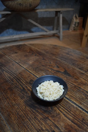 米手　にこまる 　玄米 ２０kg　農薬不使用　化学肥料不使用