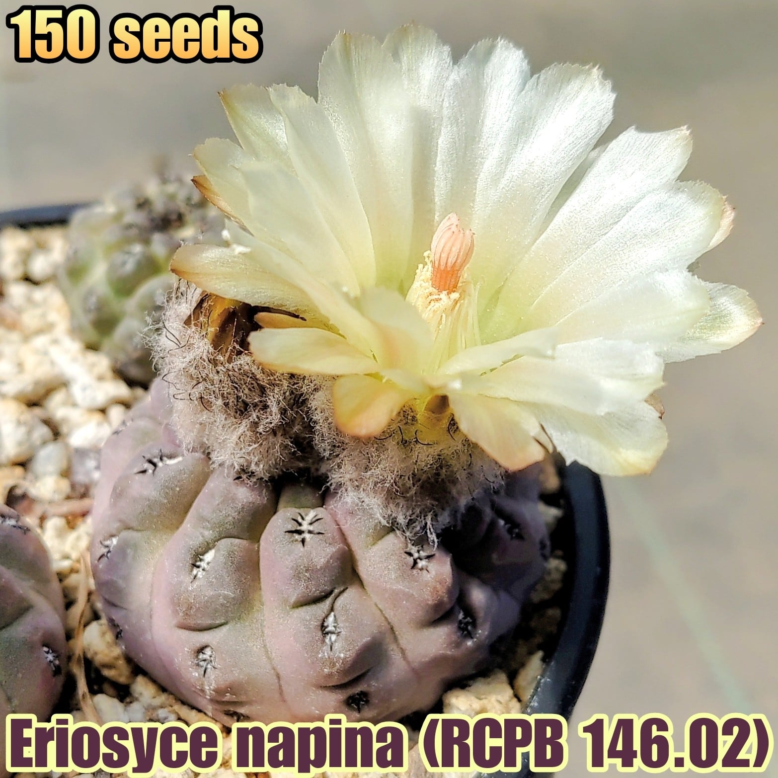 2cdc2723c36e1b5bebb89c34fcf392