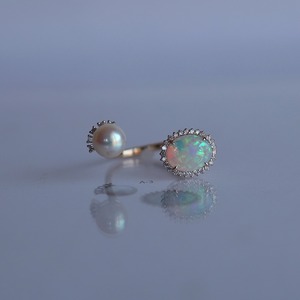 <予約商品＞Remodel