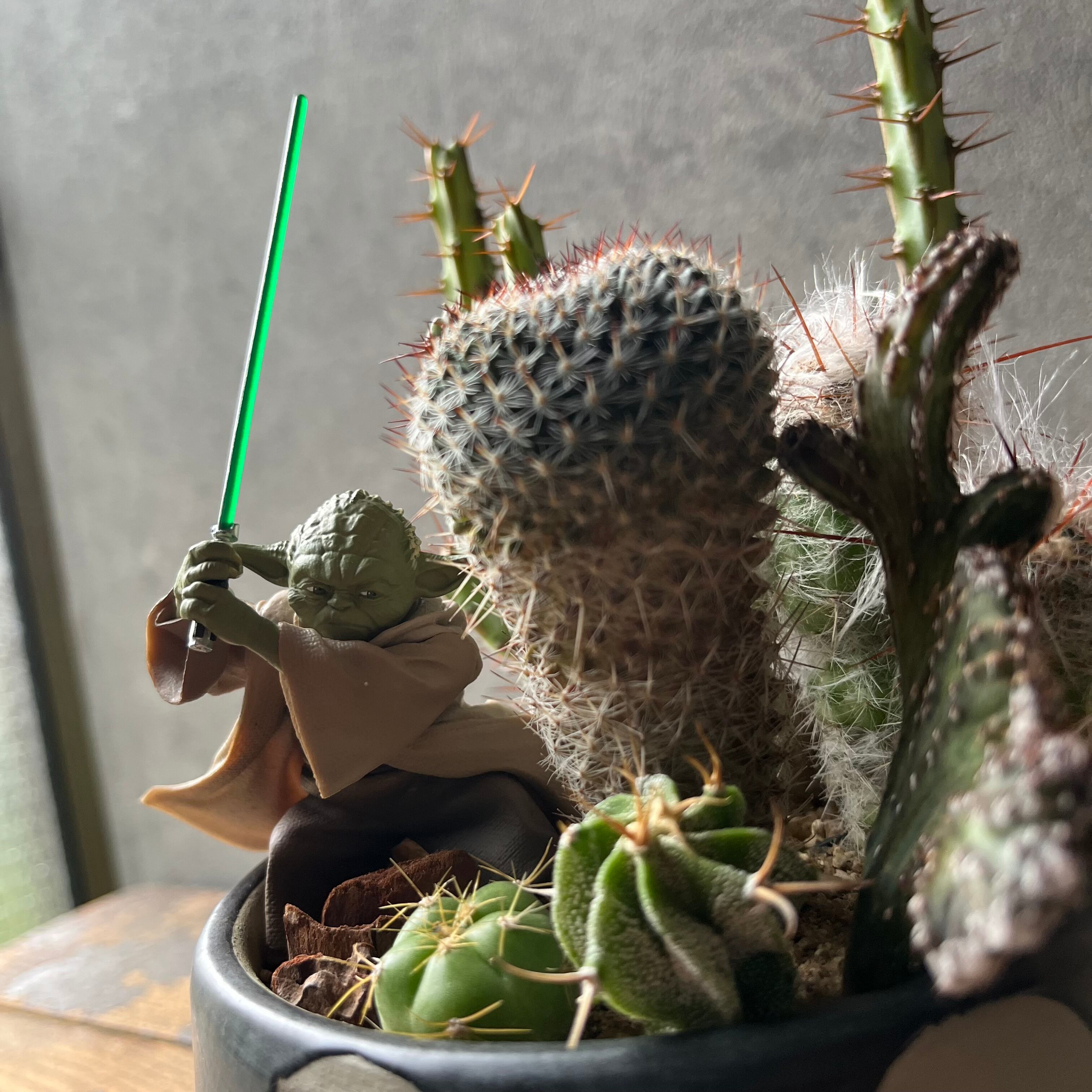 ヨーダさま専用 【公式通販】