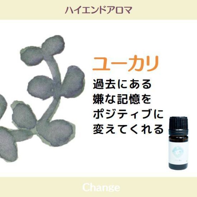 ユーカリグロブルスエッセンシャルオイル/EBG 5ml【抗酸化アロマ製法】清涼感のある香り　シャープな香り