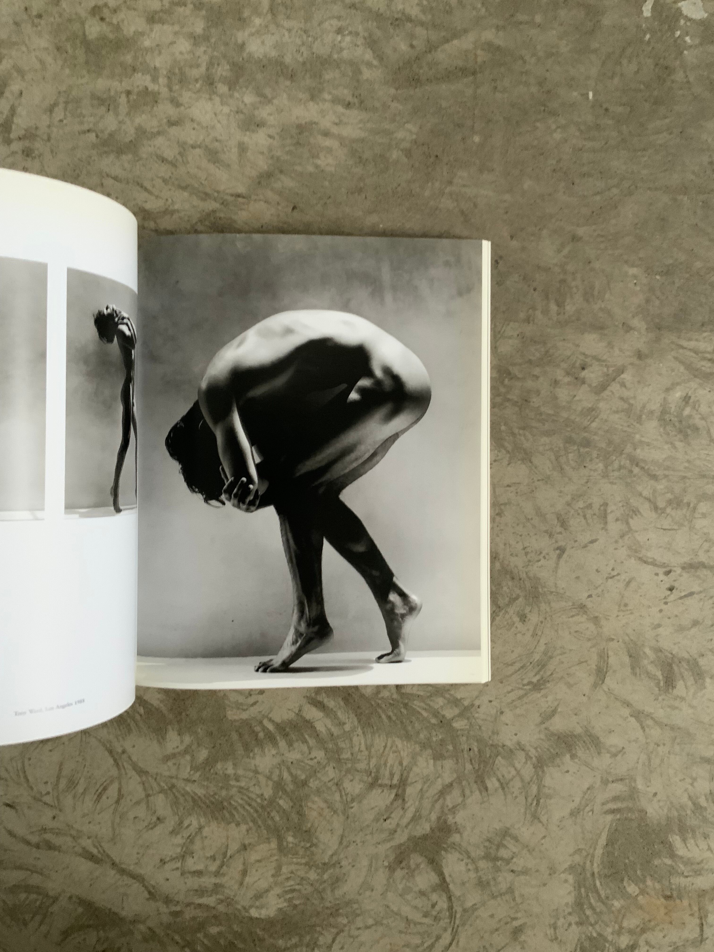 1554.Greg Gorman: Perspectives Greg Gorman グレッグ・ゴーマン | 帽子堂