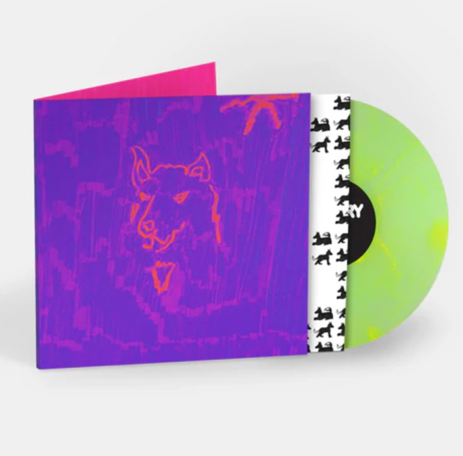 Dehd / Poetry（Ltd Plutonium LP）