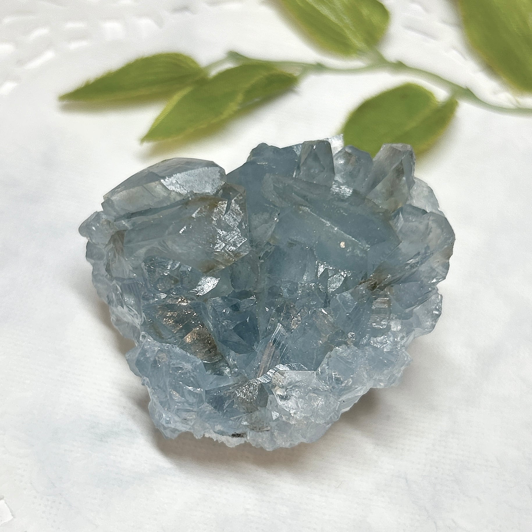 セルサイト スノーフレーク イラン産 鉱物標本 イラン スノーフレーク