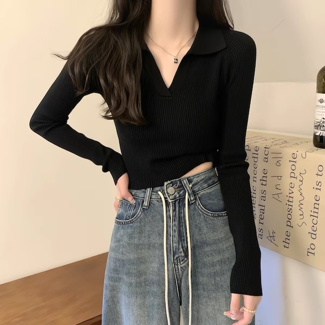 Korean-Style Polo Neck Cropped Knit Top