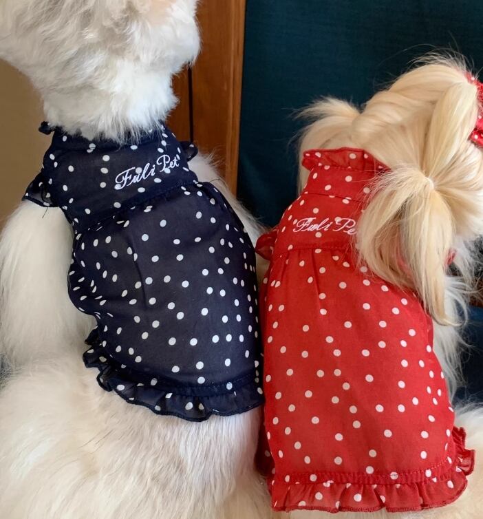 《予約》シースルードットワンピース