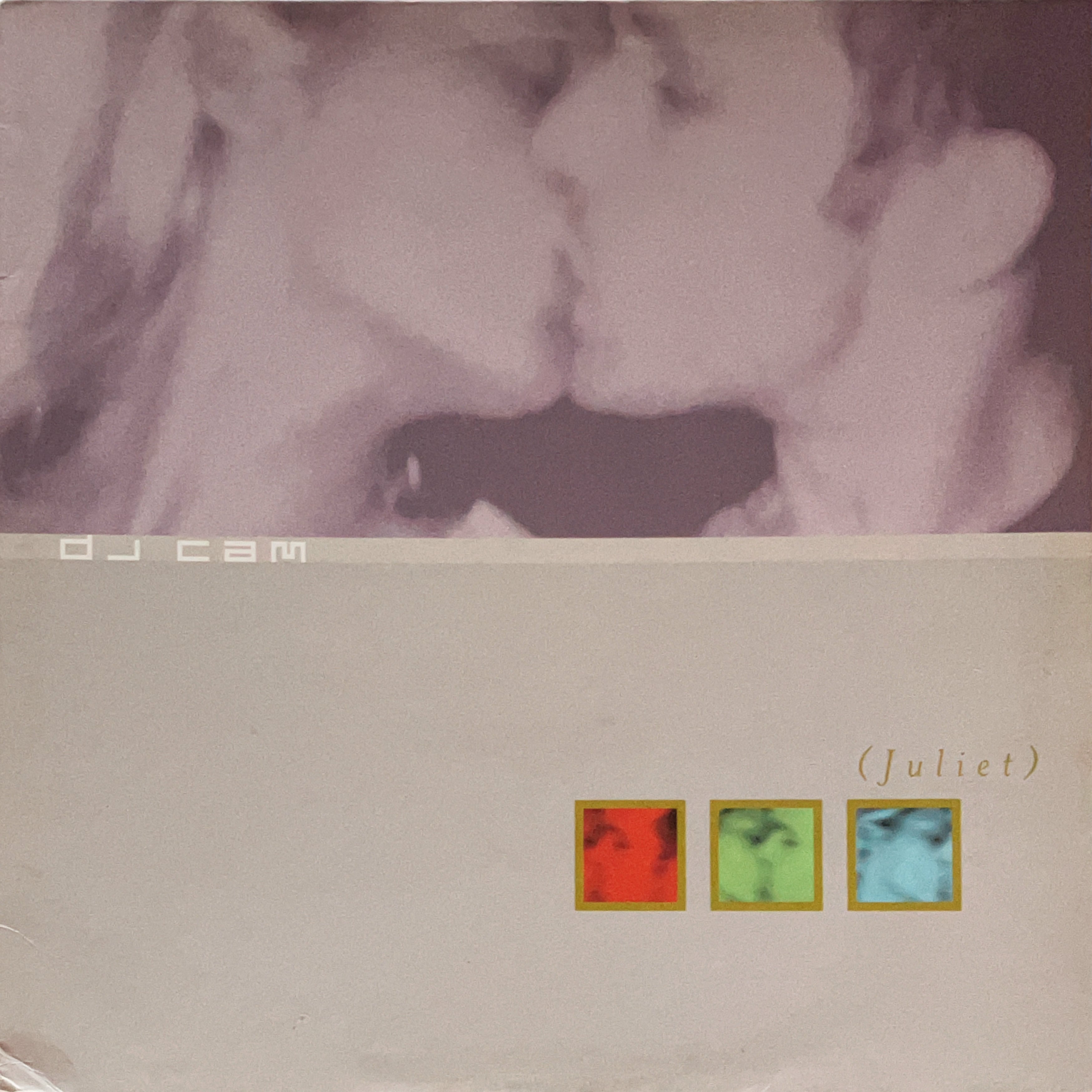 Hip Hop / Breakbeats | cpvinyl ￥3,300以上の購入で「送料無料