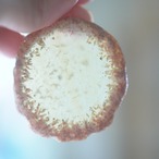 Apple Cinnamon Tea - アゲートヒーリングチャイム / Agate Sun Catcher Wind Chime 1029