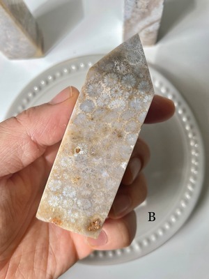 Fossil Coral Tower / フォッシルコーラル　タワー