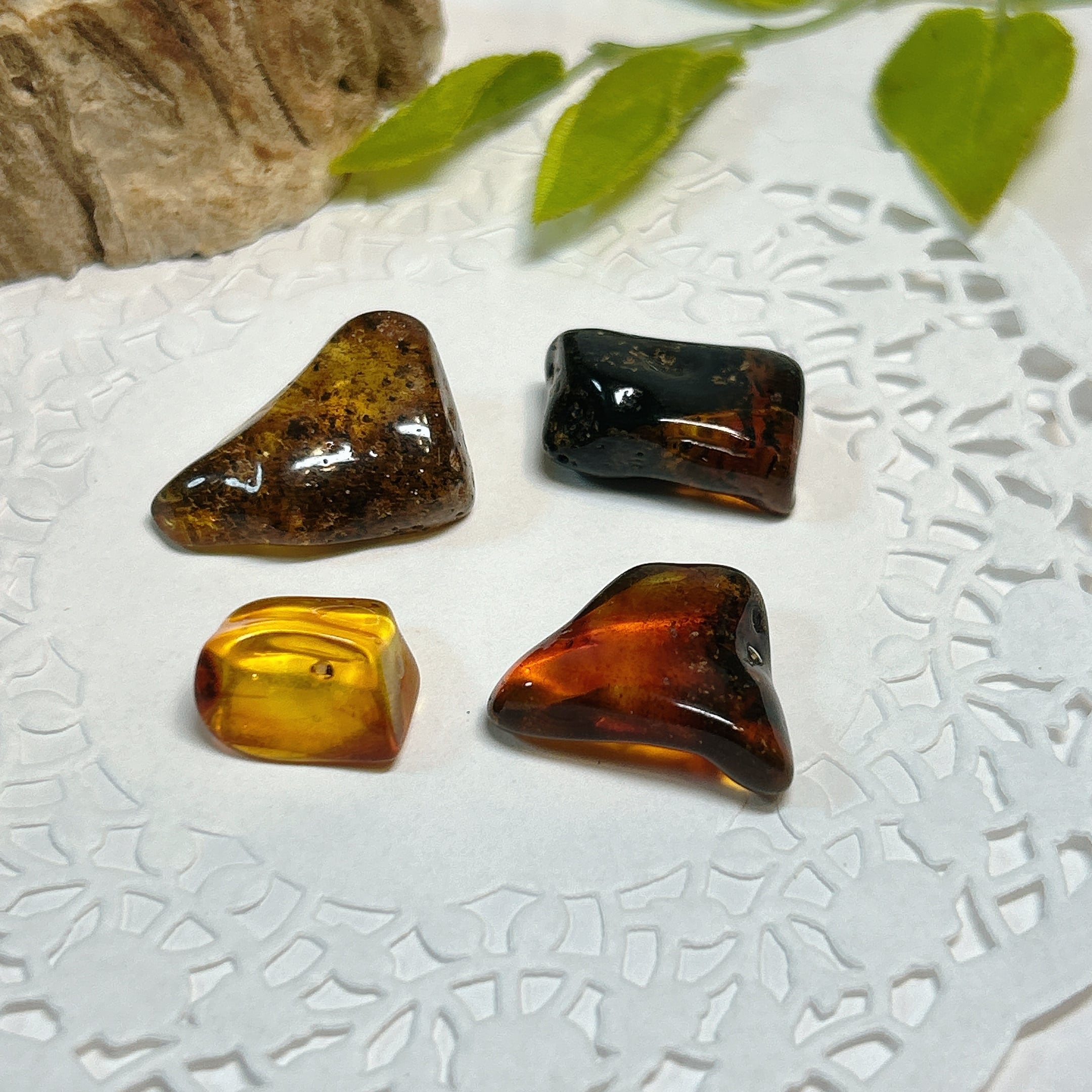 化石]琥珀・アンバー | クリスタル・ワールド御徒町店