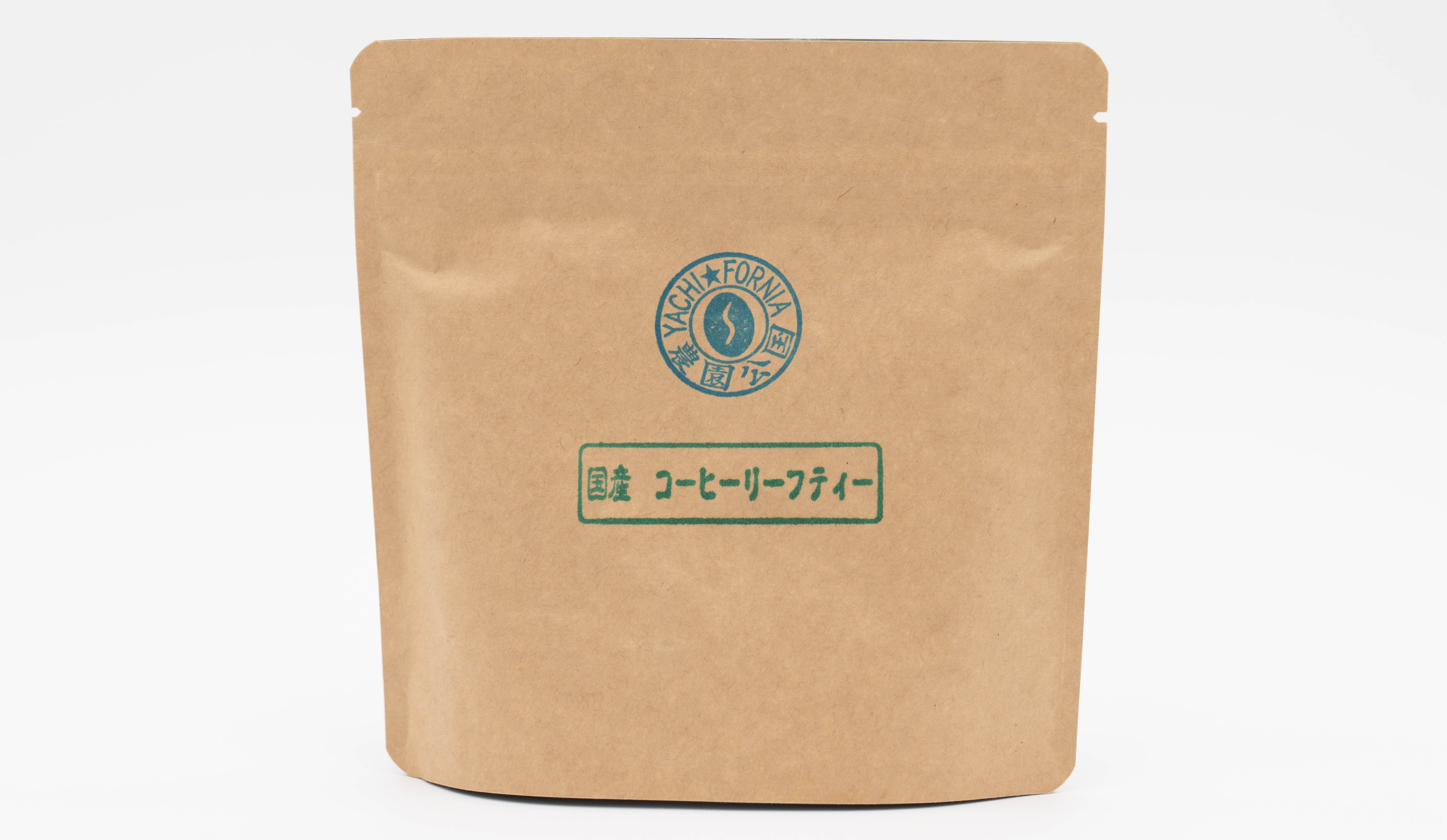 コーヒー苗ティピカ種 （特大） ＊国産コーヒー苗木 | YACHI☆FORNIA-FARM