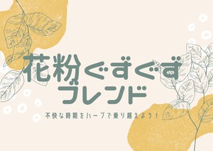 ❰Herbal Scent 月替わりブレンド ❱10包ティーパック　風邪に負けないぞ！ブレンド ティーパック