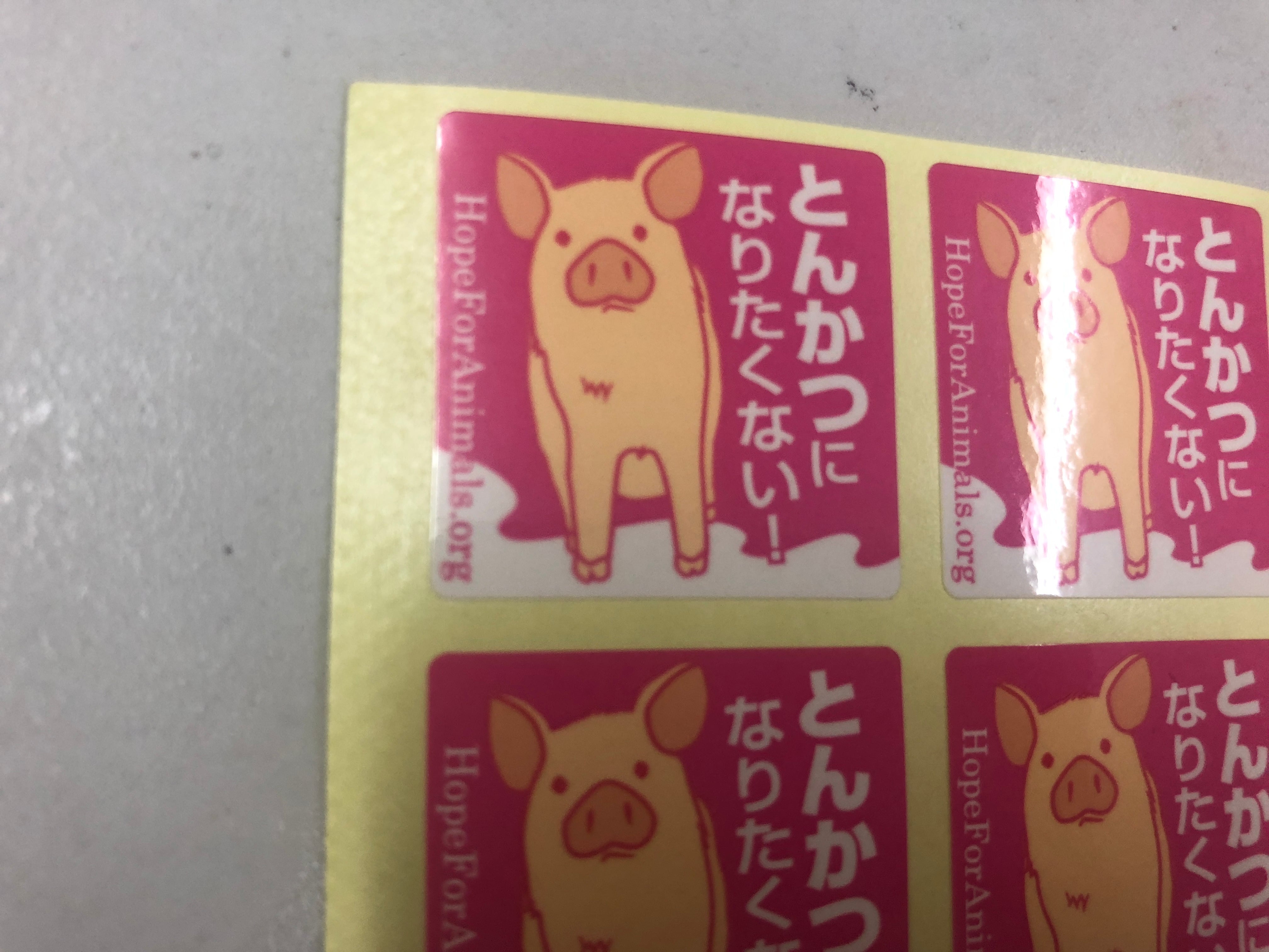 2cfae6f788b0f9bd6753c1a3e8f7b8