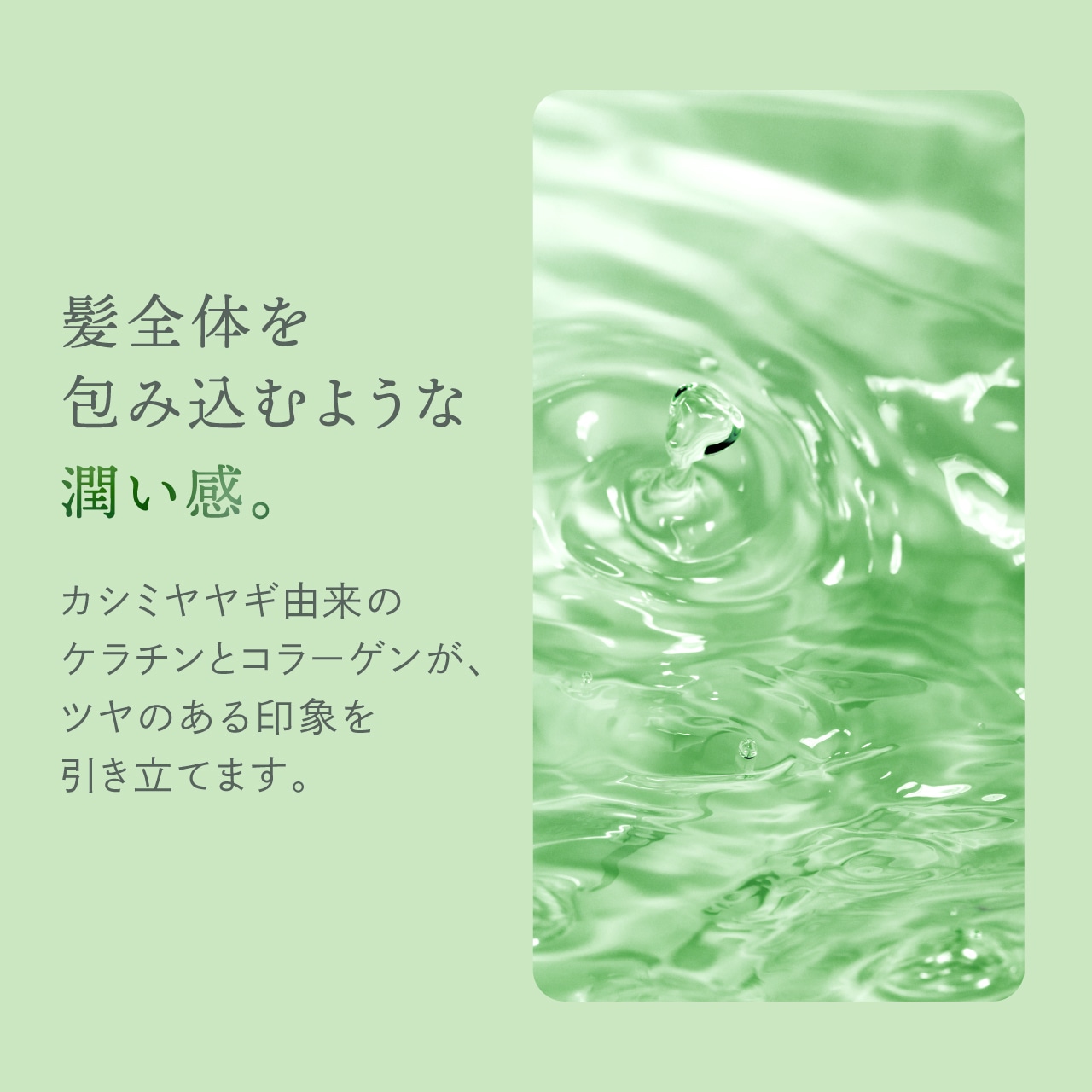 Revely プレミアムモイスト シャンプー