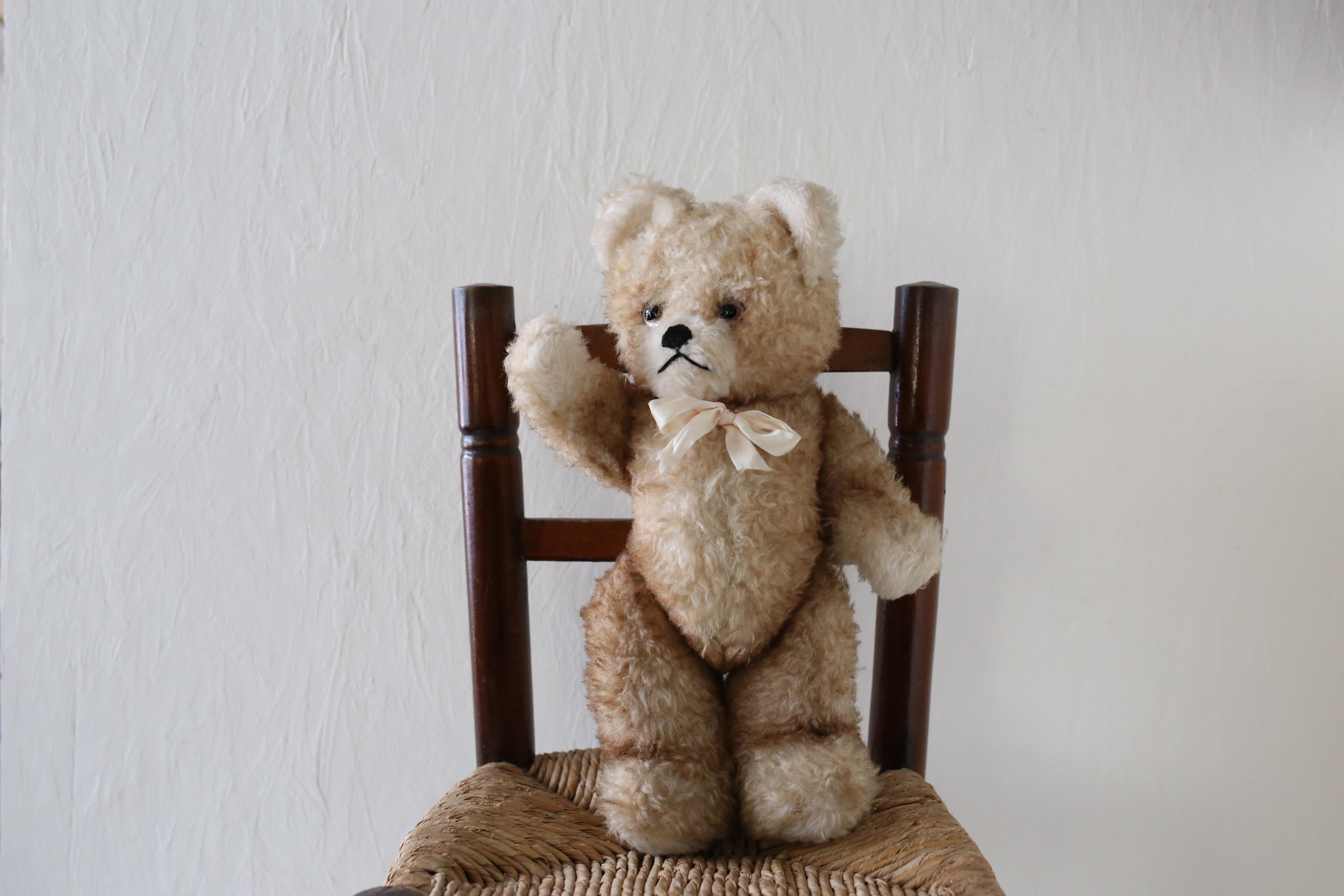 テディベア | EMUPARIS