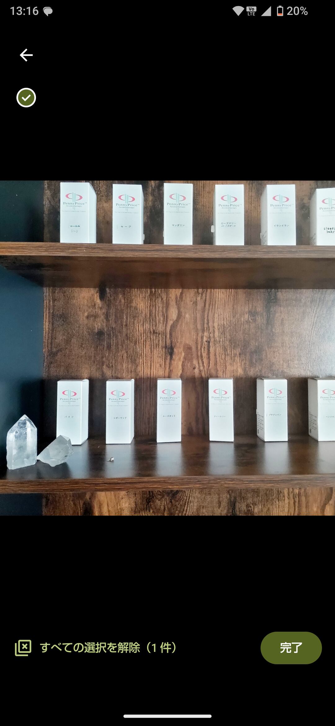 ジャスミン精油 3ml 【 Jasminus grandiflorum】