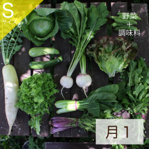 【発送：月1回定期便】有機野菜Sサイズ＆加工品