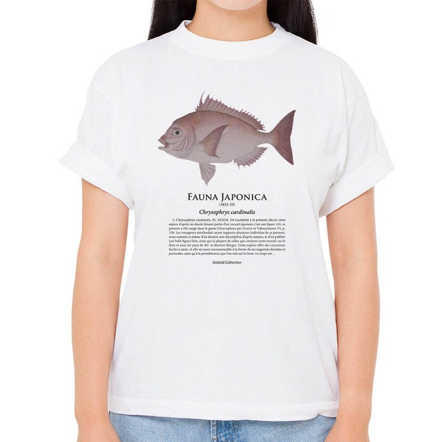 【チダイ】シーボルトコレクション魚譜Tシャツ（高解像・昇華プリント）