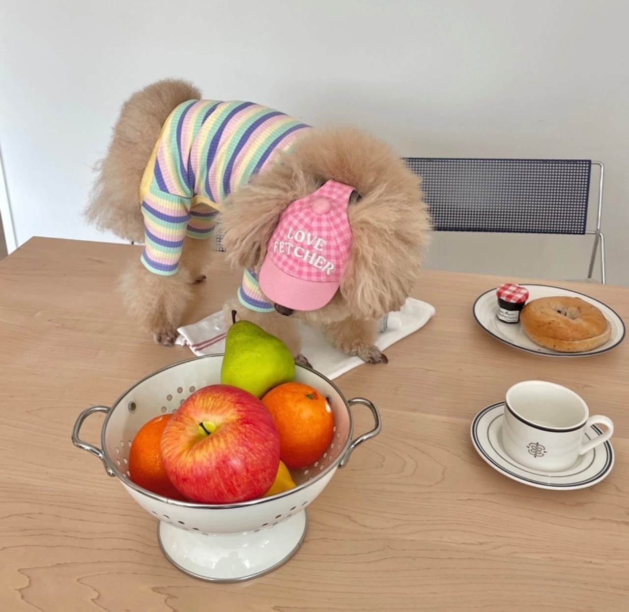 即納【Freddie Tale】Love Fetcher gingham ball cap(pink)Lサイズ