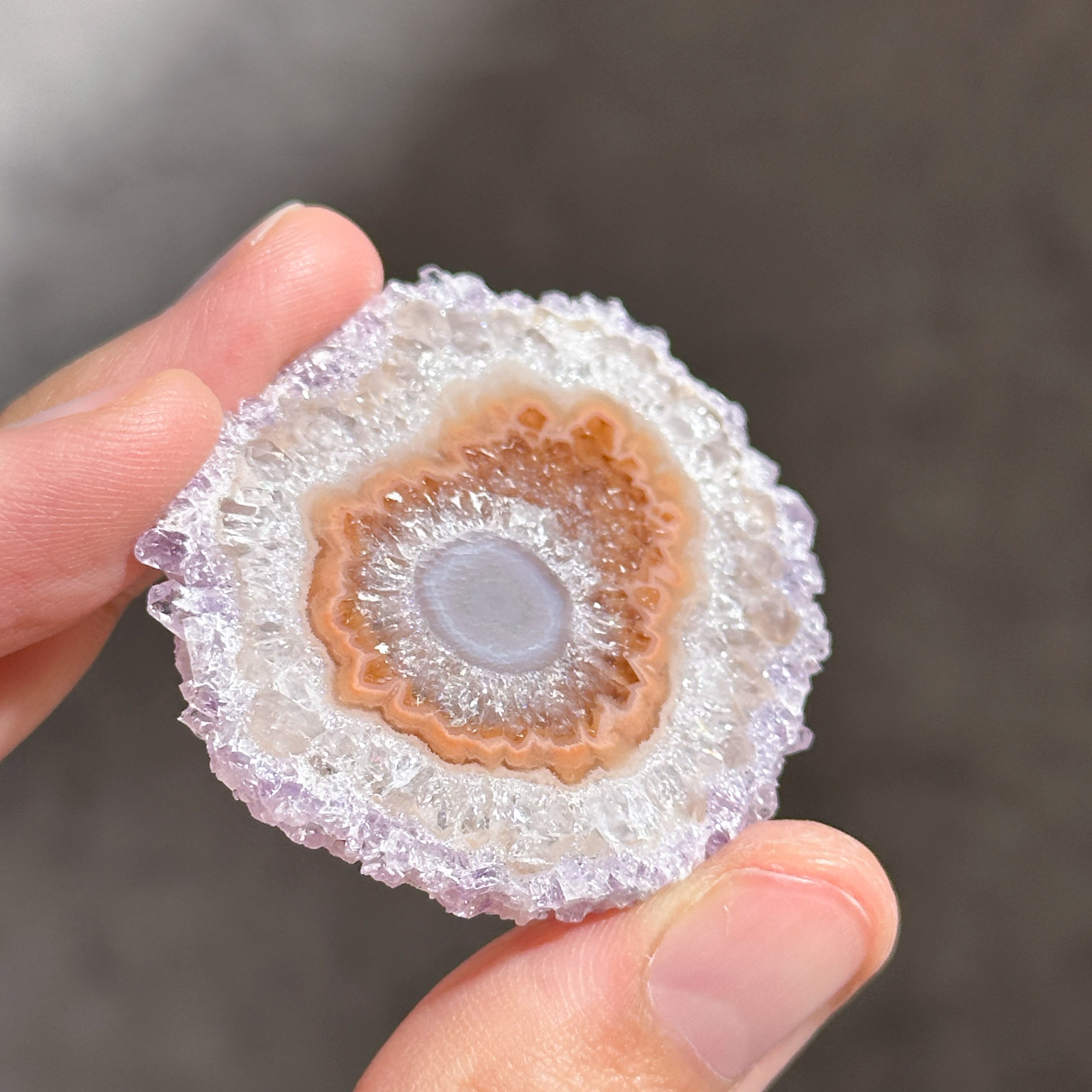 ⭐︎希少価値⭐︎虹も見える♪花満開のアメジスト⭐︎ フラワーアメジスト スライス72◇ Flower Amethyst ◇天然石・鉱物