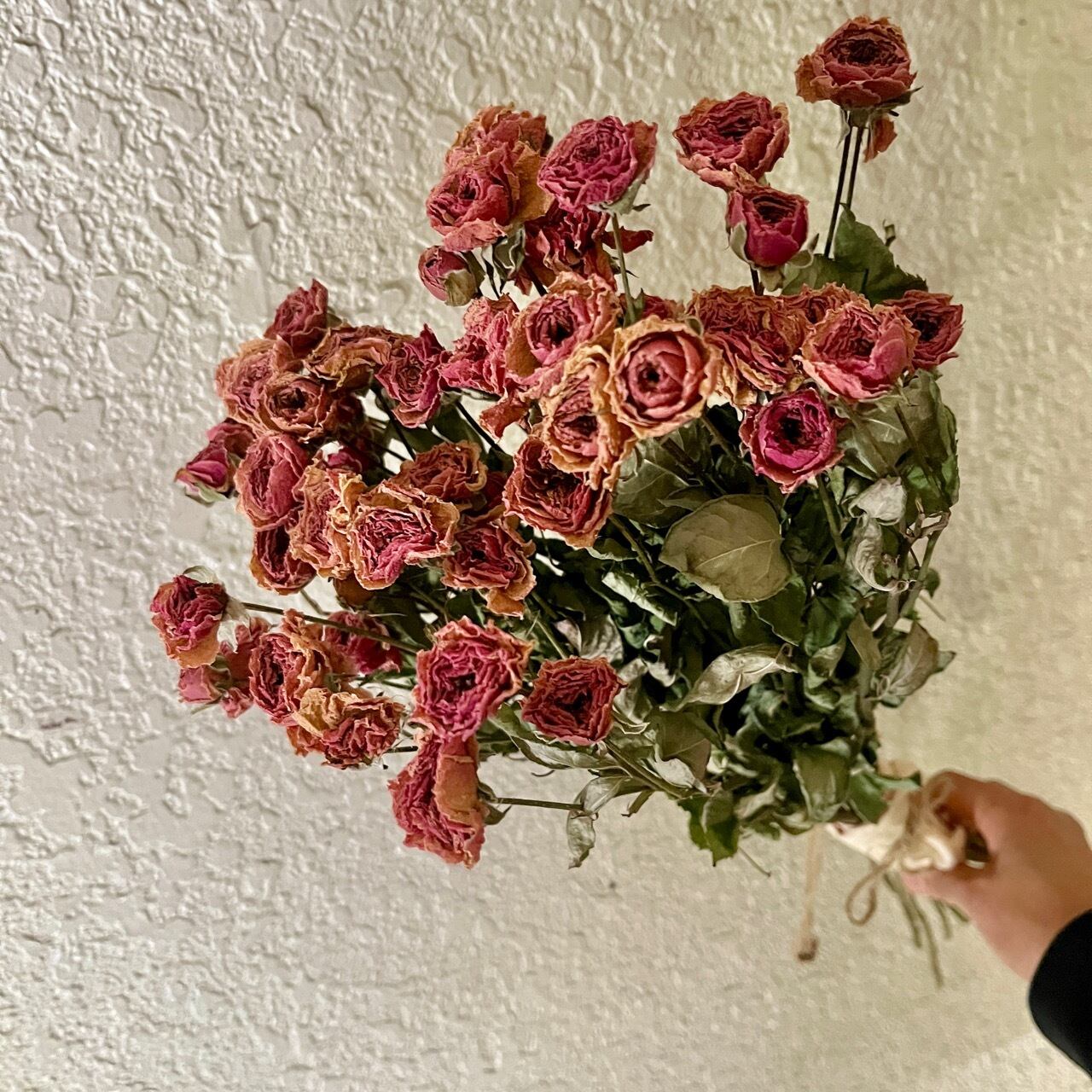 Reuse is Love] 